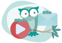 owl_newsletter_video